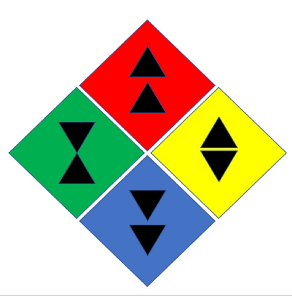 Diagram of the four coloured badges for juniors