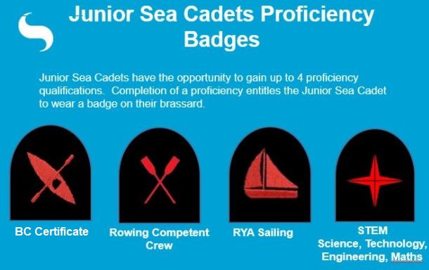 Junior proficiencies badges